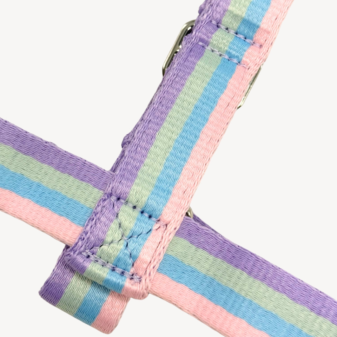 Rainbow - Harness / Dog Harness