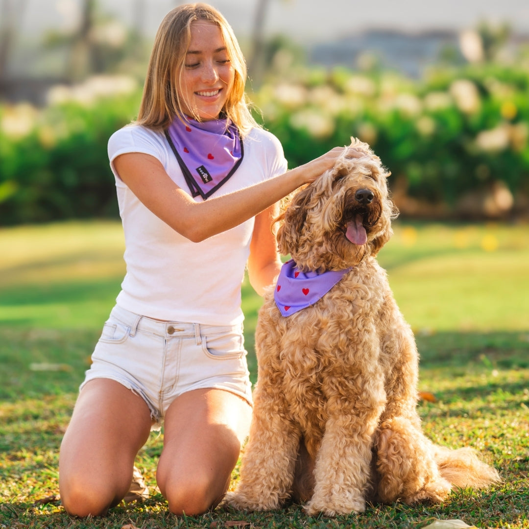 Hearts - Purple - Matching Bandanas Set