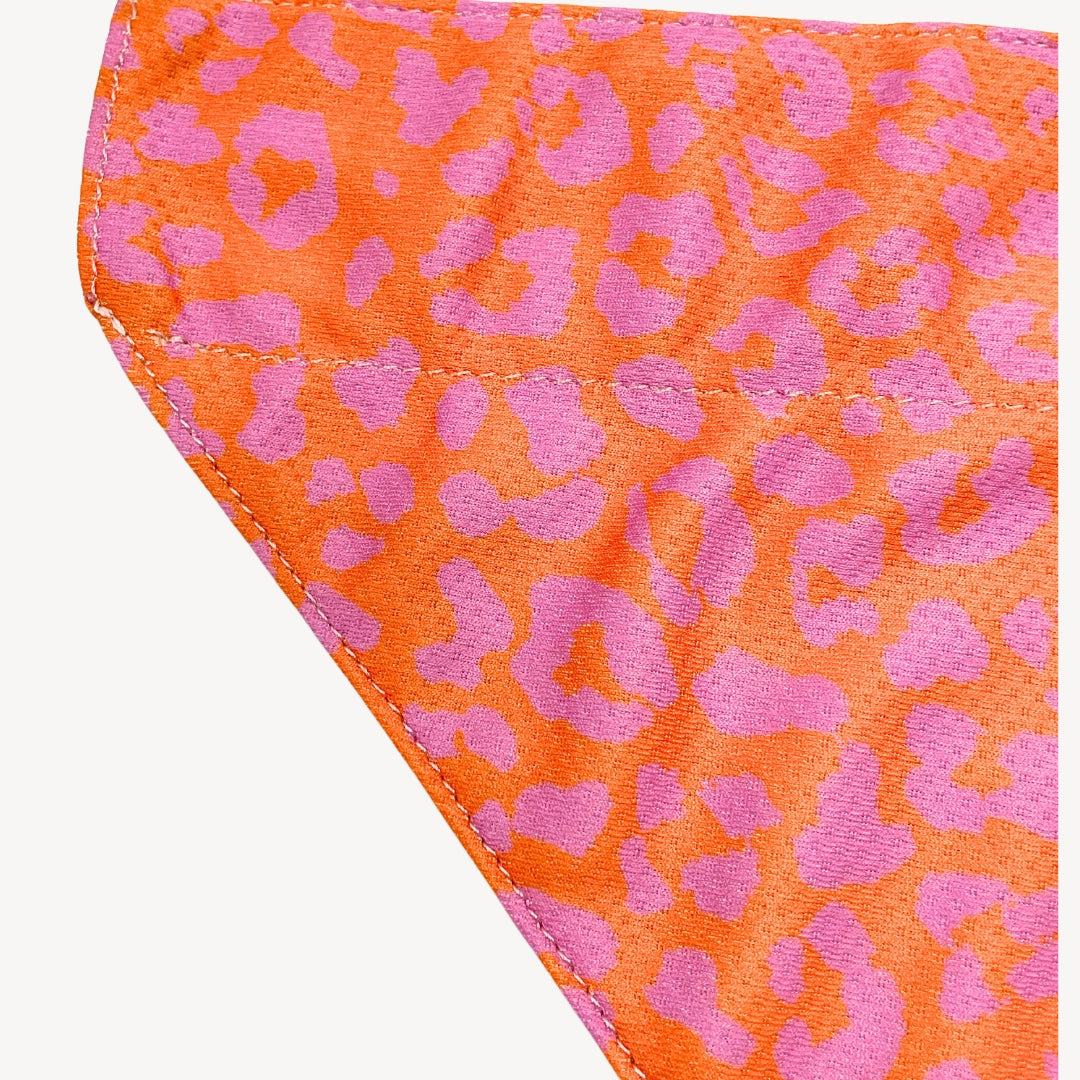 Panther - Orange/Pink - Bandana Dog