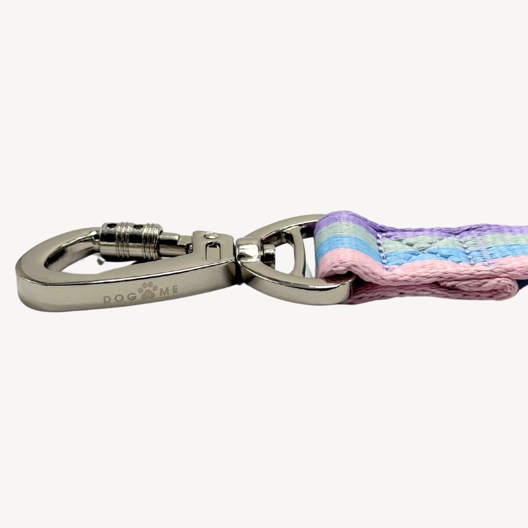 Rainbow - Dog Leash