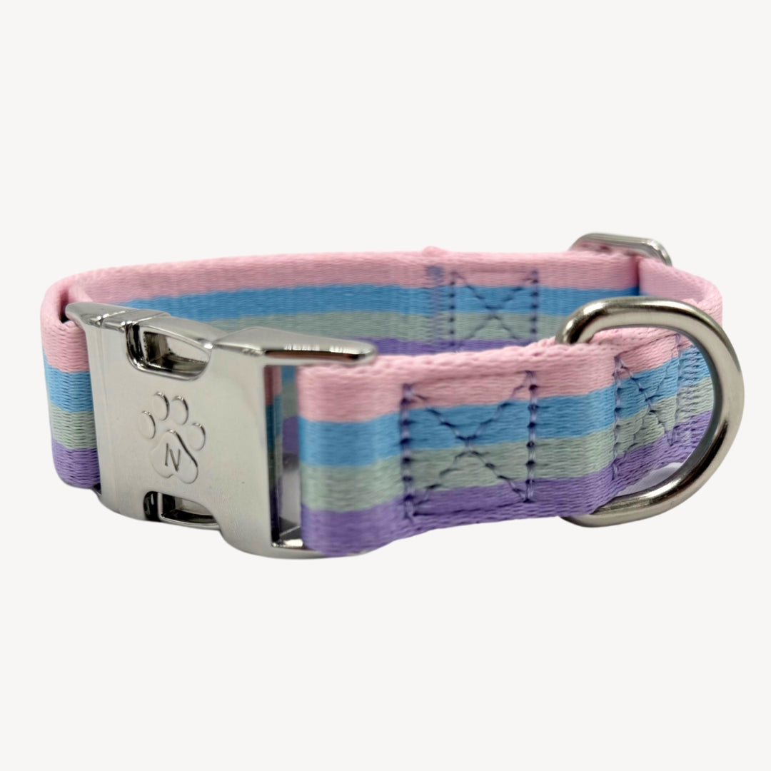 Rainbow - Dog Collar