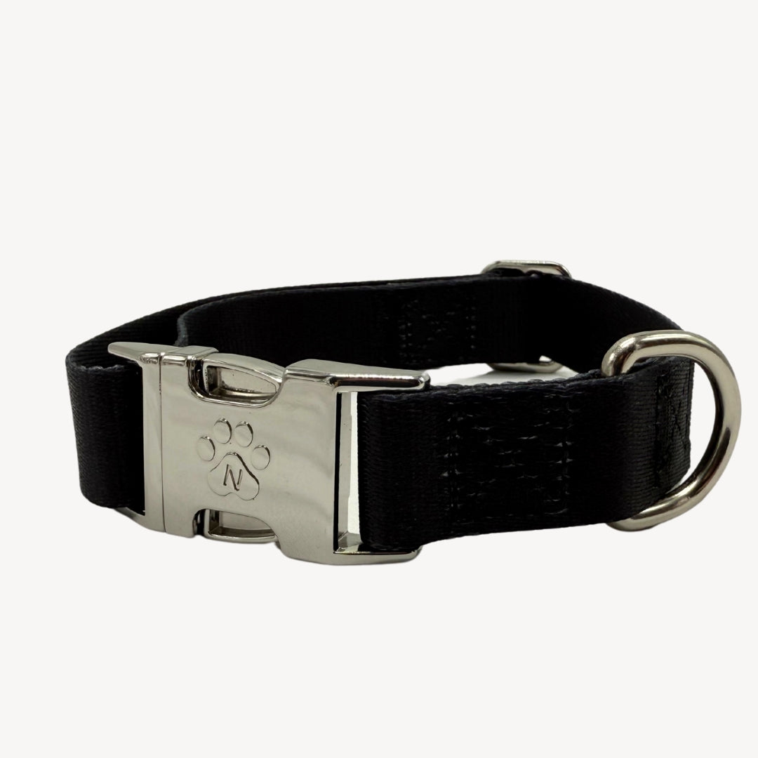 Solid - Black - Dog Collar