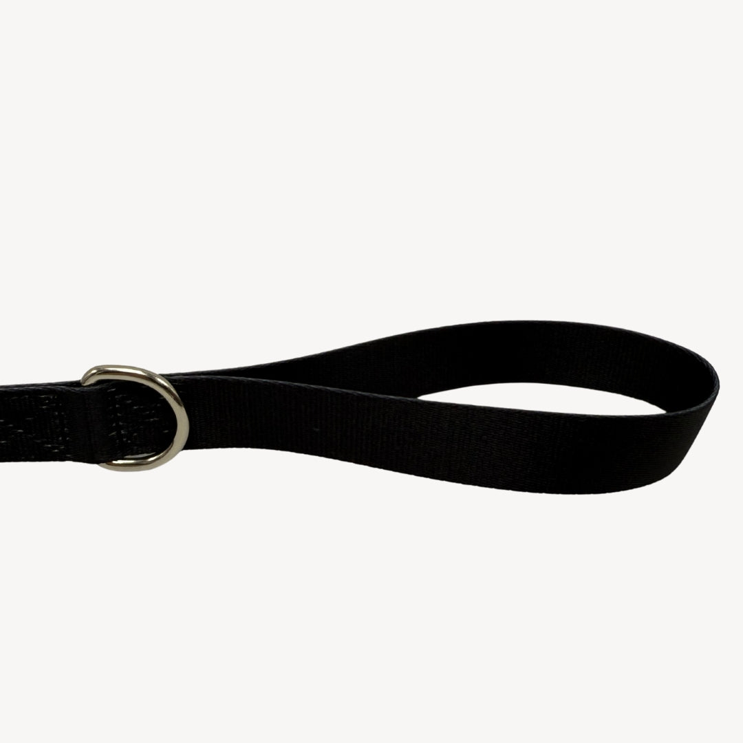 Solid - Black - Dog Leash
