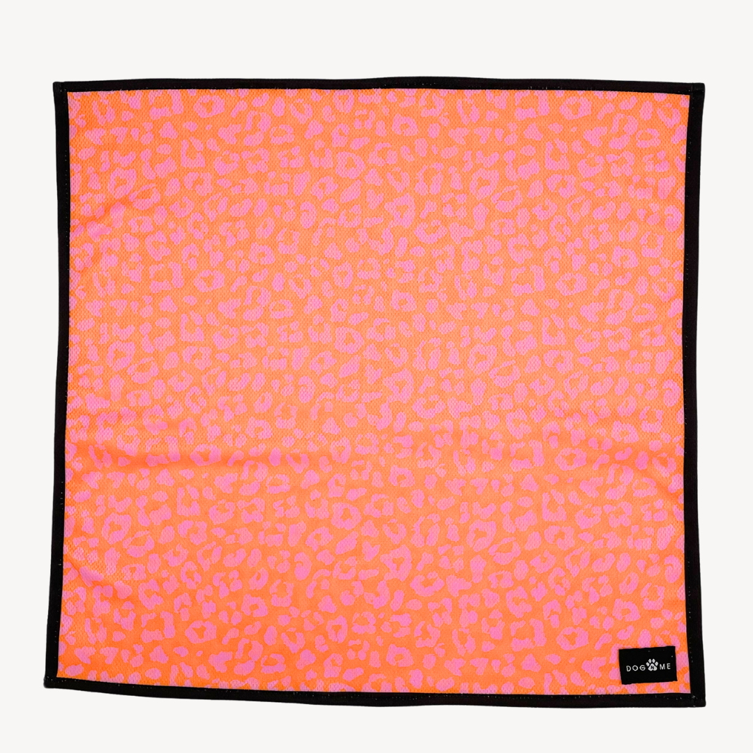 Panther - Orange/Pink - Matching Bandanas Set