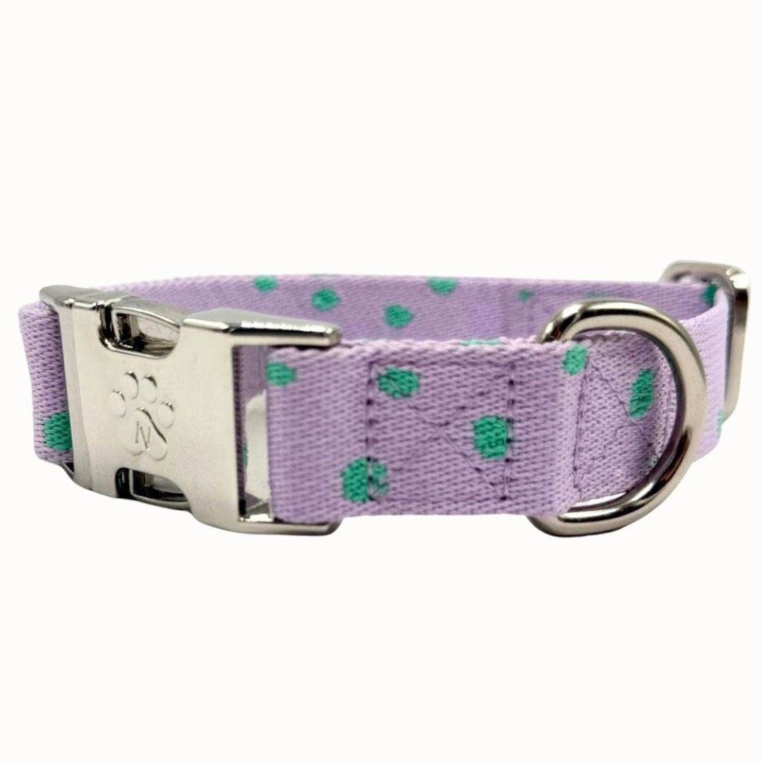 Solid - Black - Dog Collar