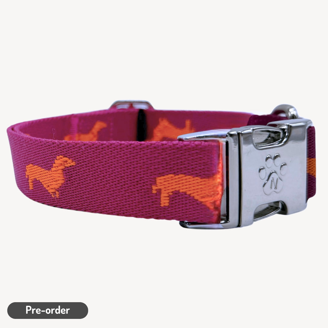Dachshunds - Dog Collar