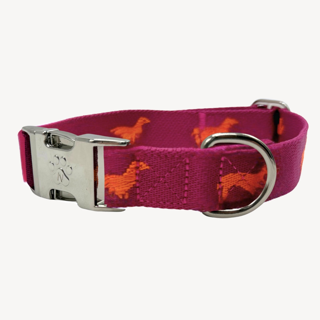 Dachshunds - Dog Collar