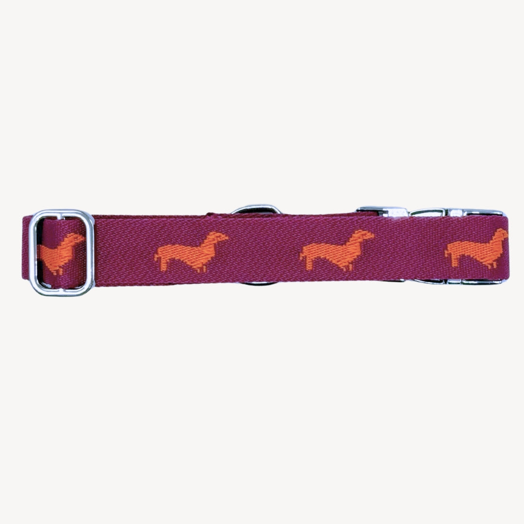 Dachshunds - Dog Collar