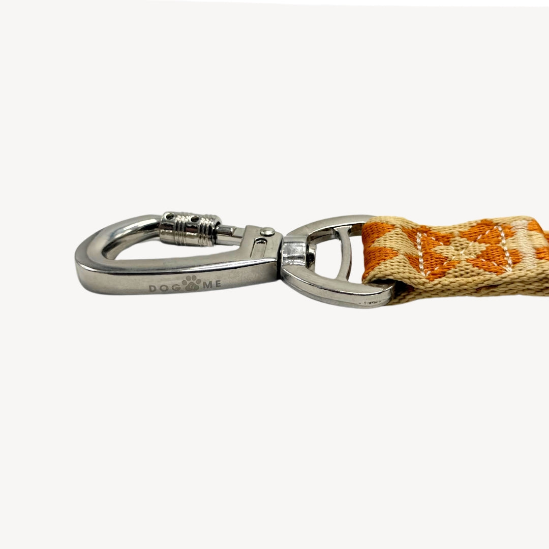 Checkers - Laisse pour chien