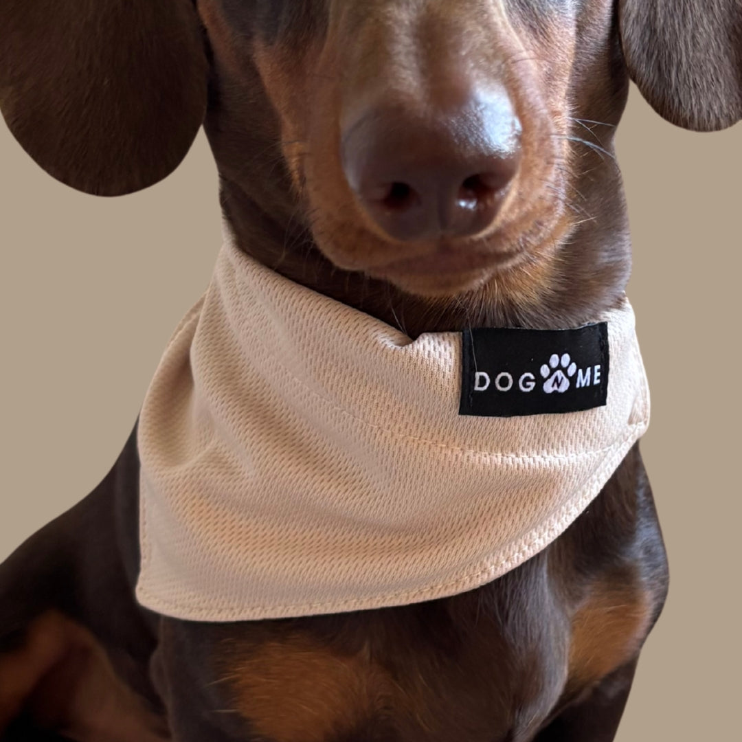 Solid - Sand - Matching Bandana's Set