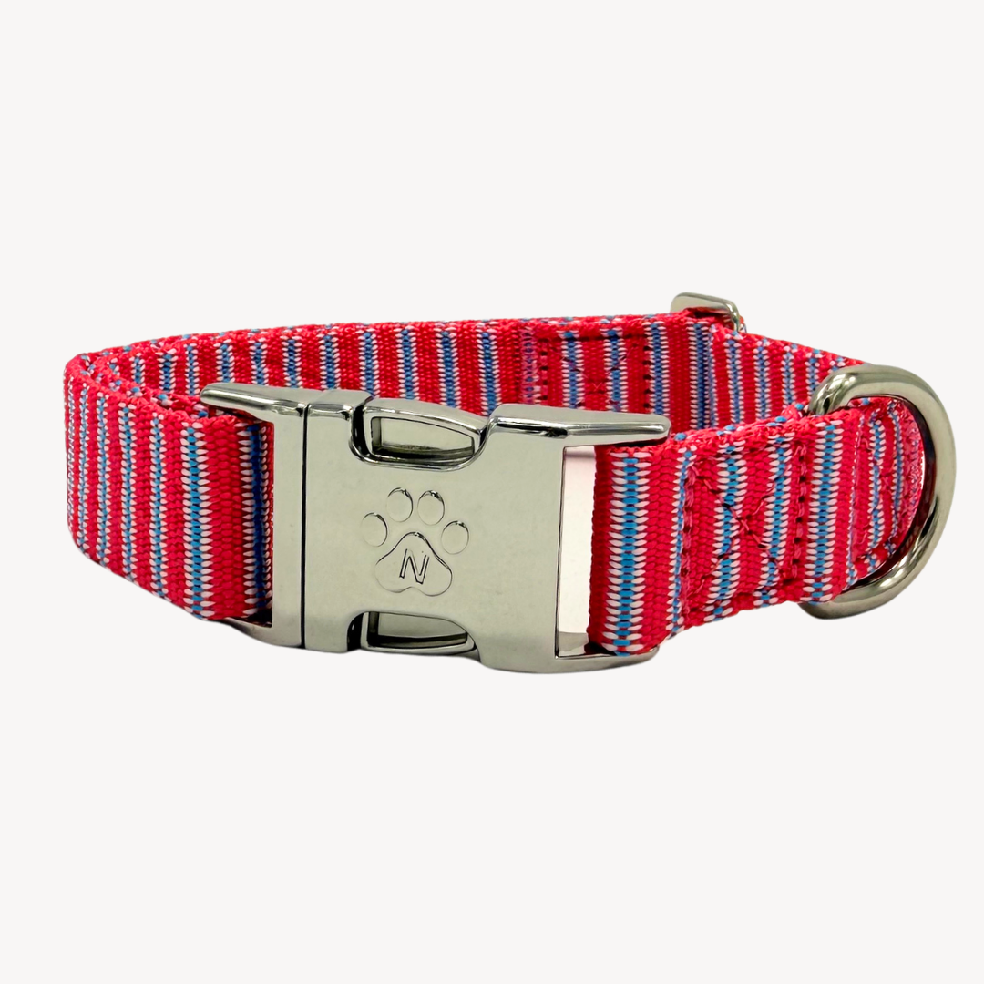 Riviera - Dog Collar