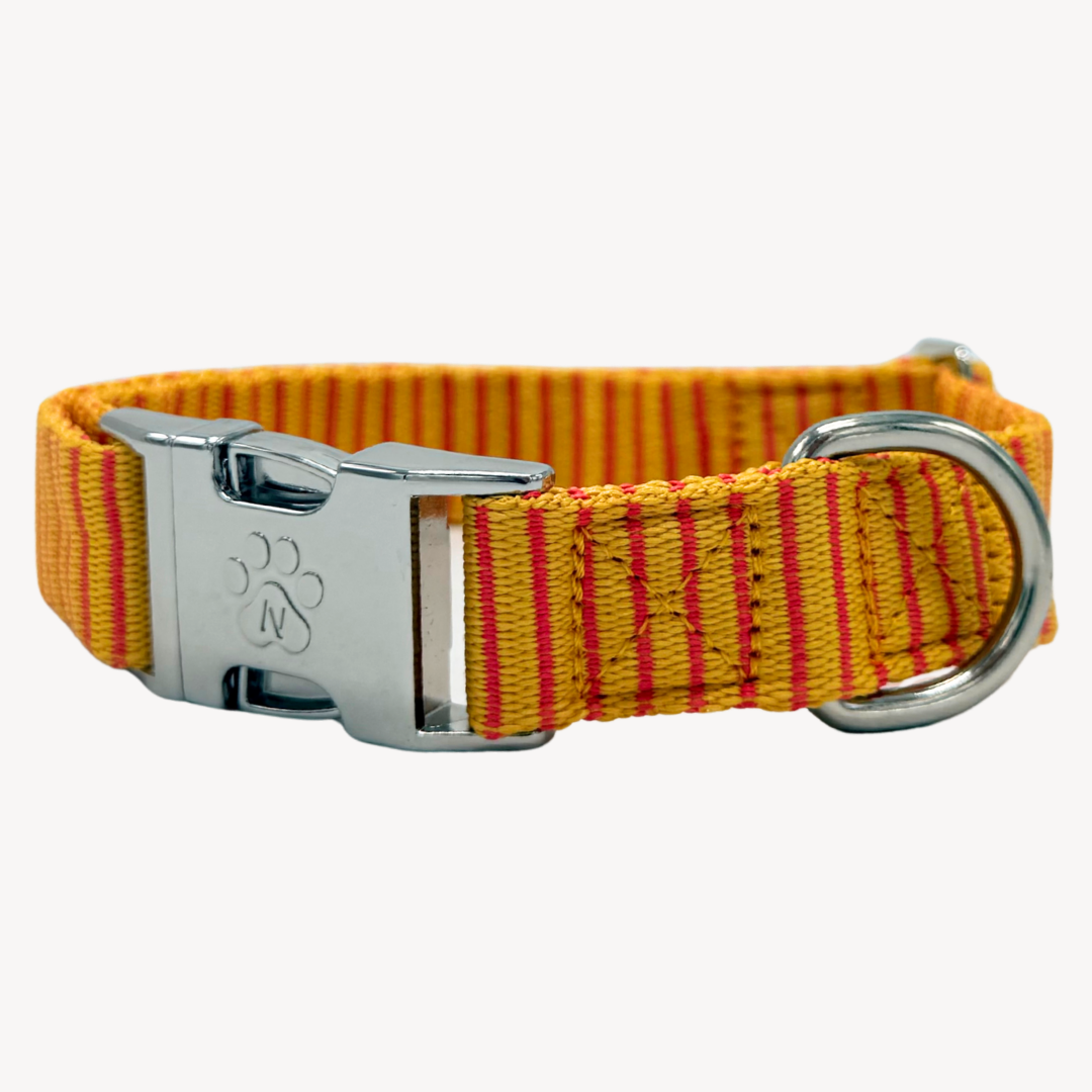 Pinstripe - Collare per Cani