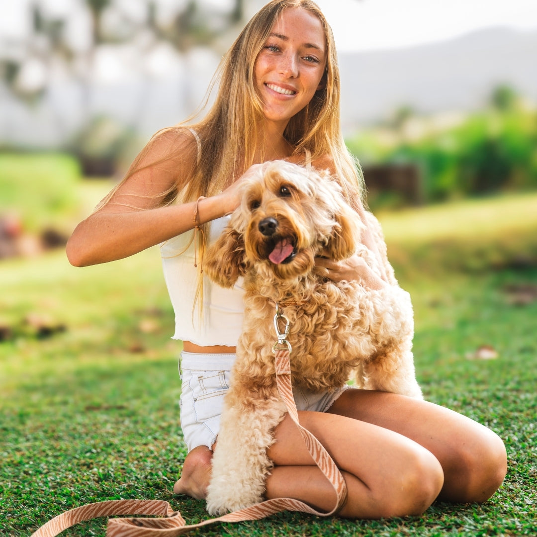 Zebra - Guinzaglio per Cani