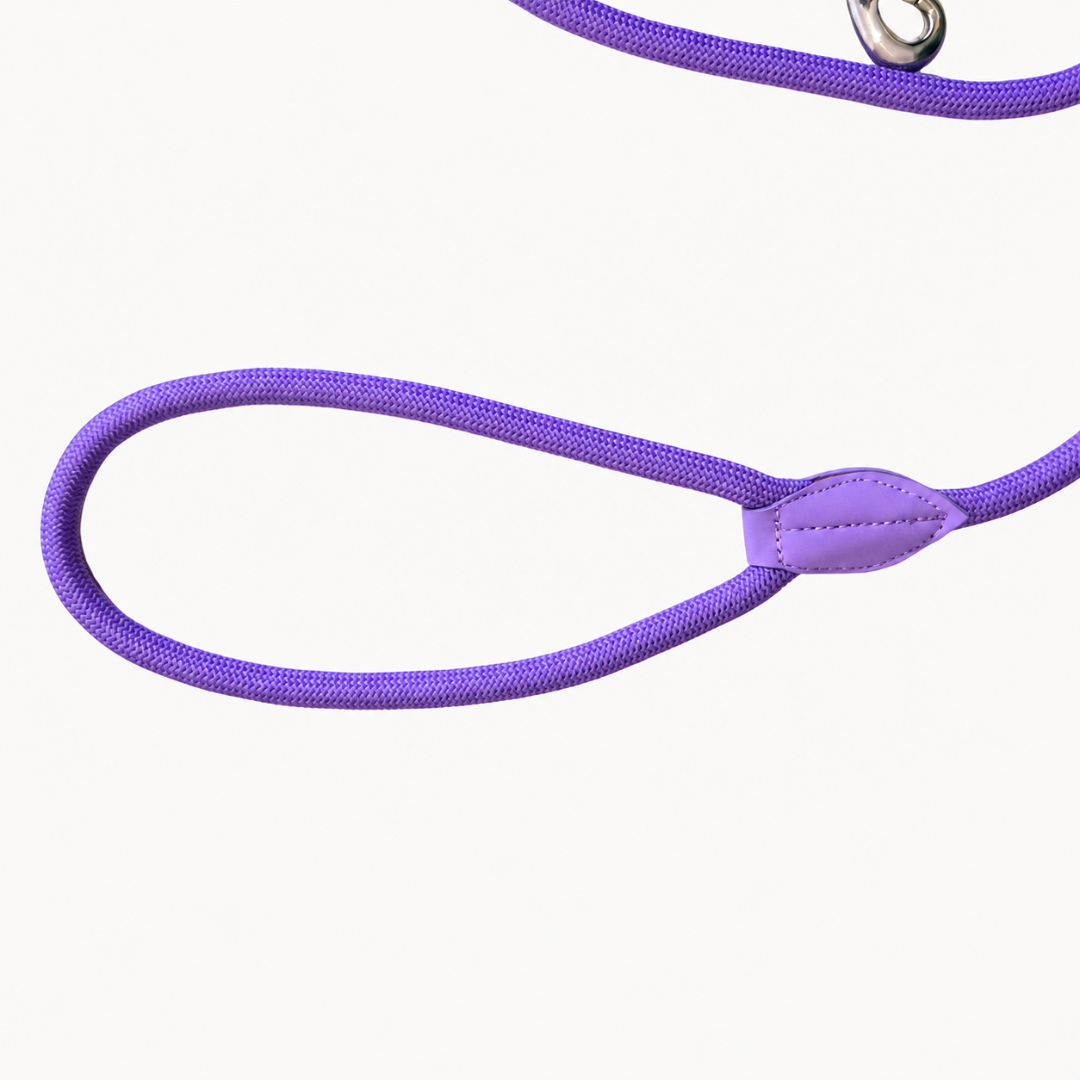 Daily – Viola – Guinzaglio per Cani