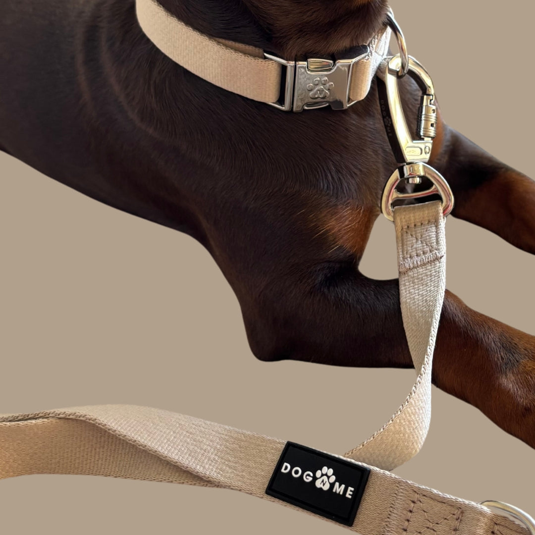 Solid - Sand - Dog Collar