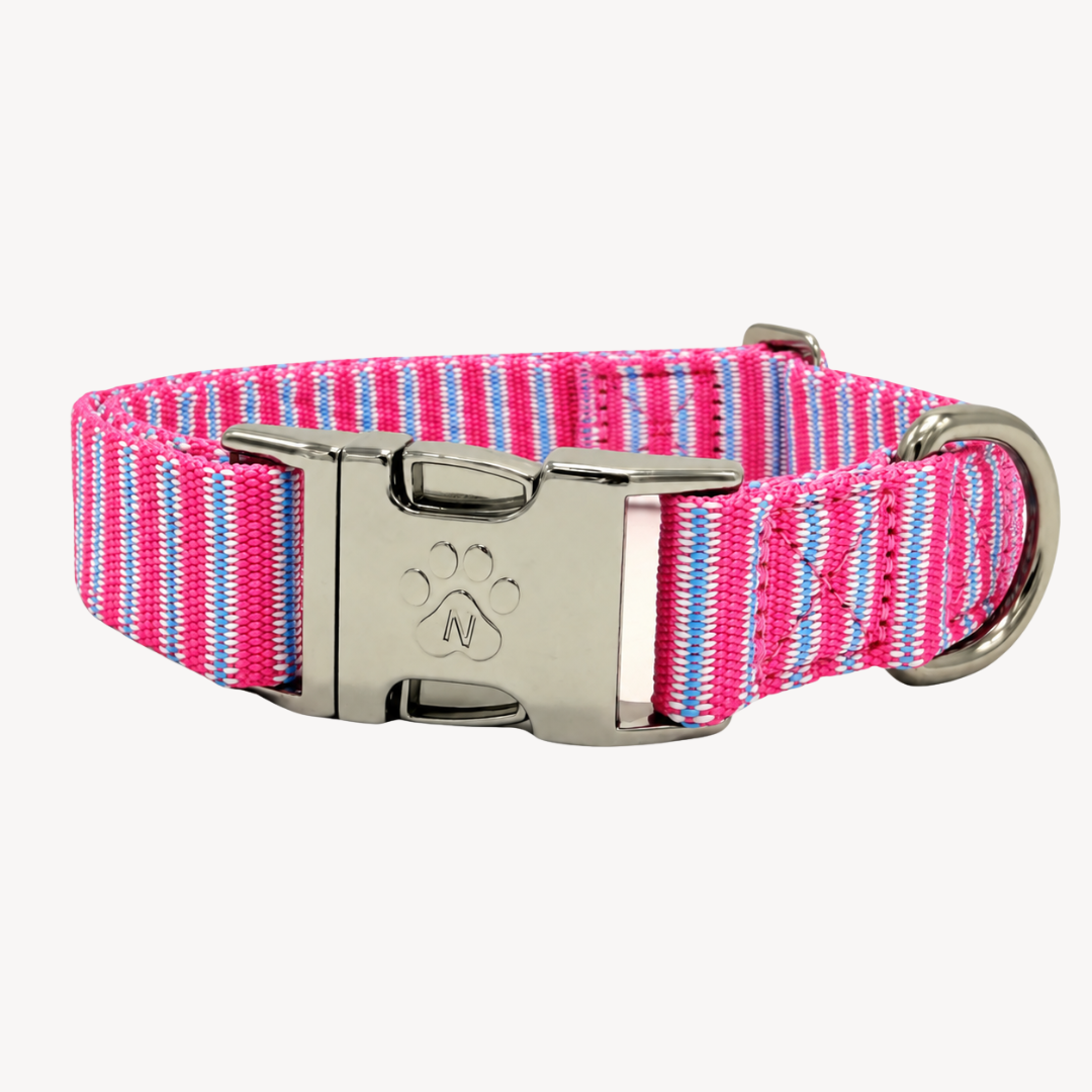 Riviera - Dog Collar