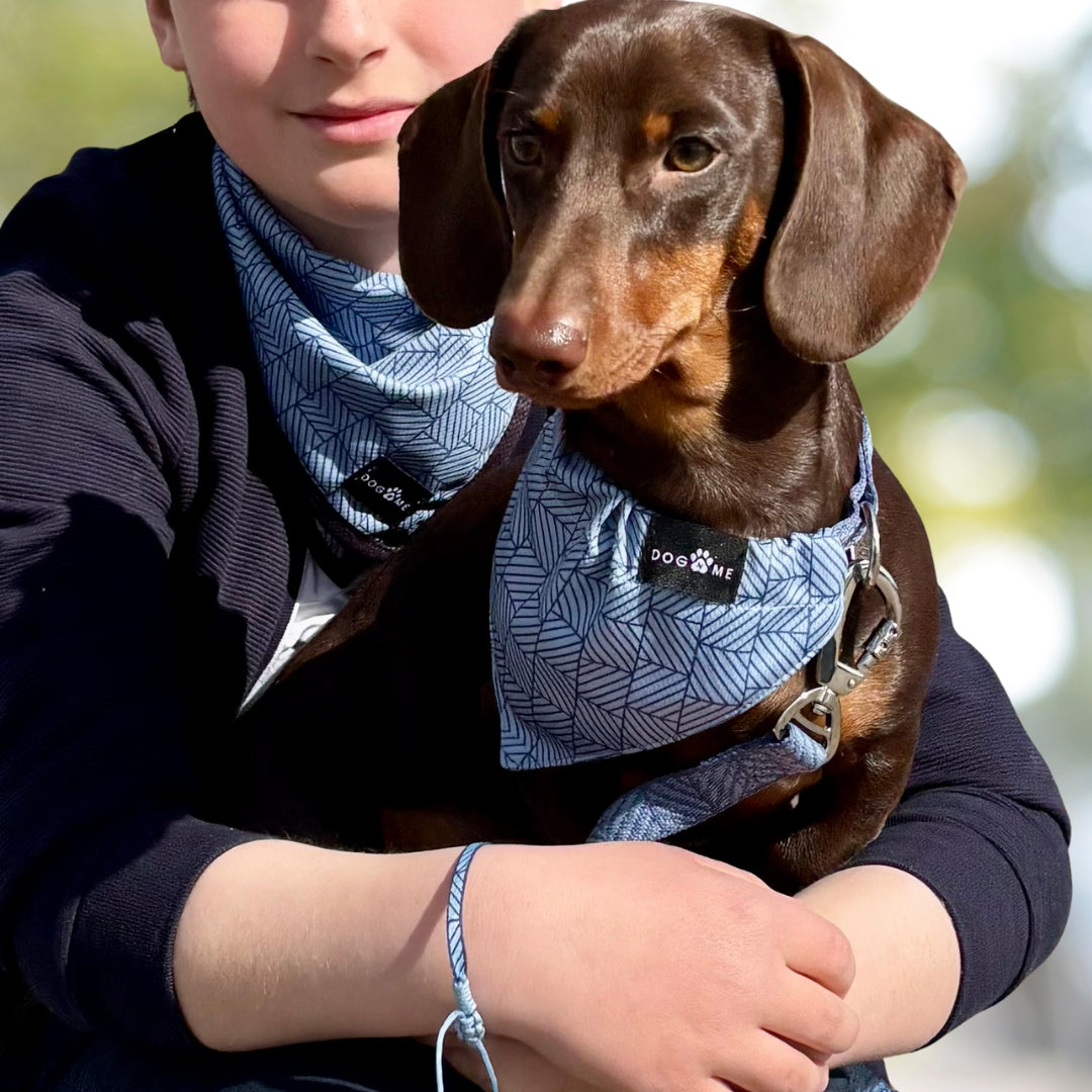 Denim - Blue - Trail Hunter Duo Set