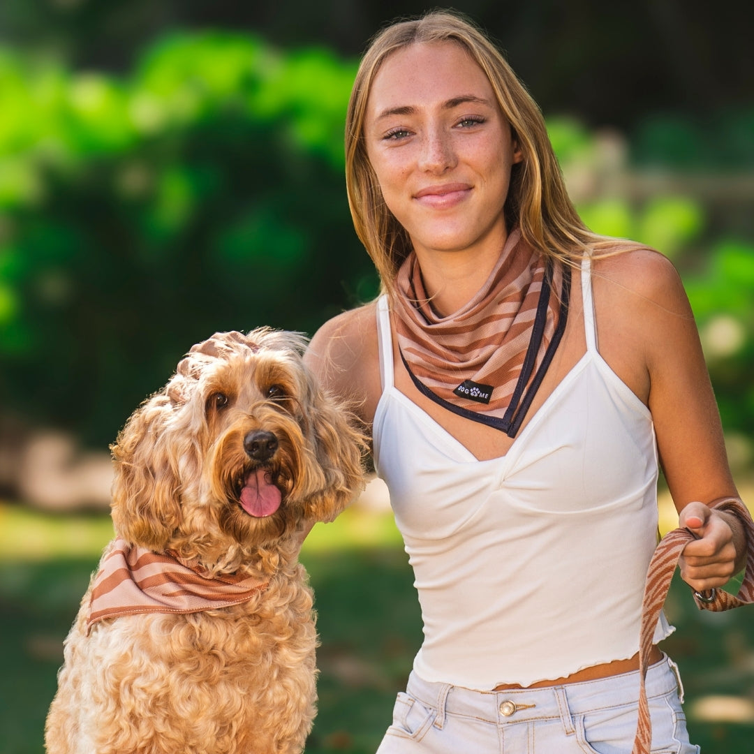 Zebra - Set Matching Bandana