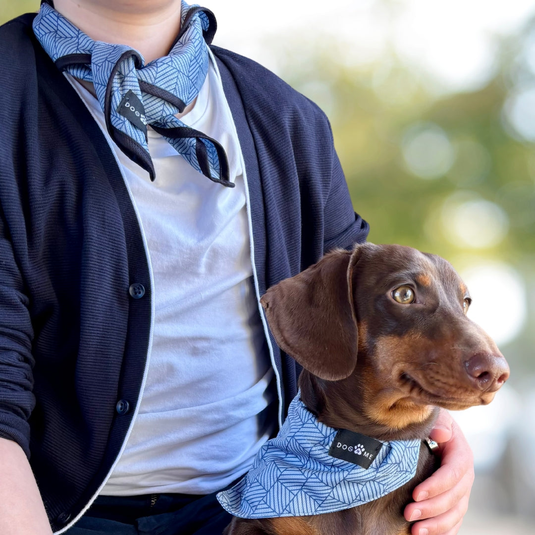 Denim - Blue - Matching Bandanas Set