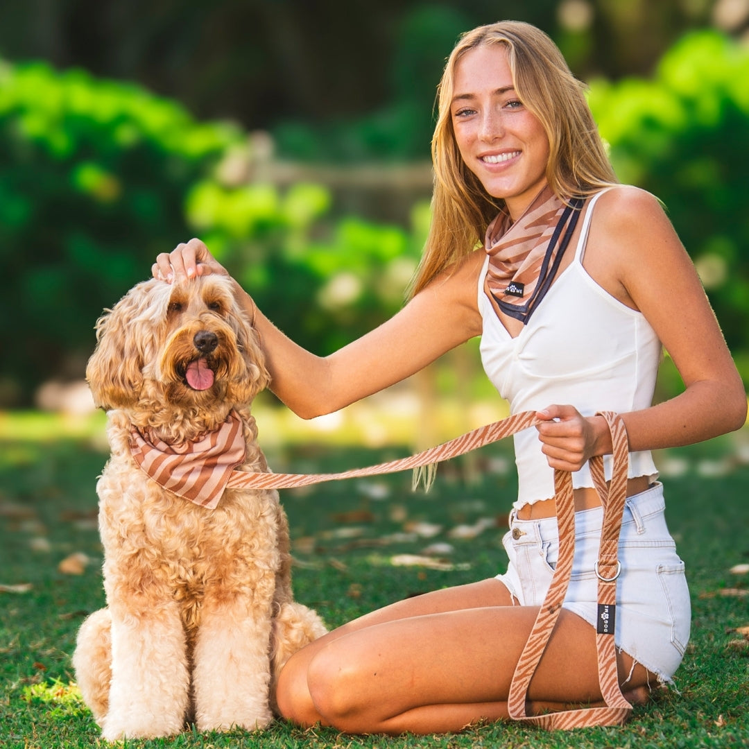 Zebra - Trail Hunter Duo Set