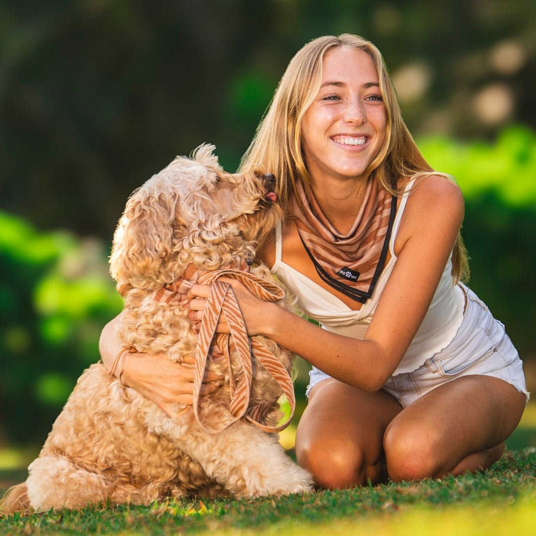 Zebra - Guinzaglio per Cani