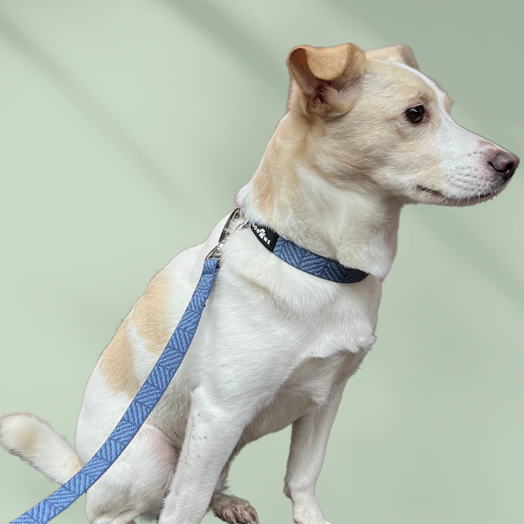 Denim - Blue - Trail Hunter Ultra Set