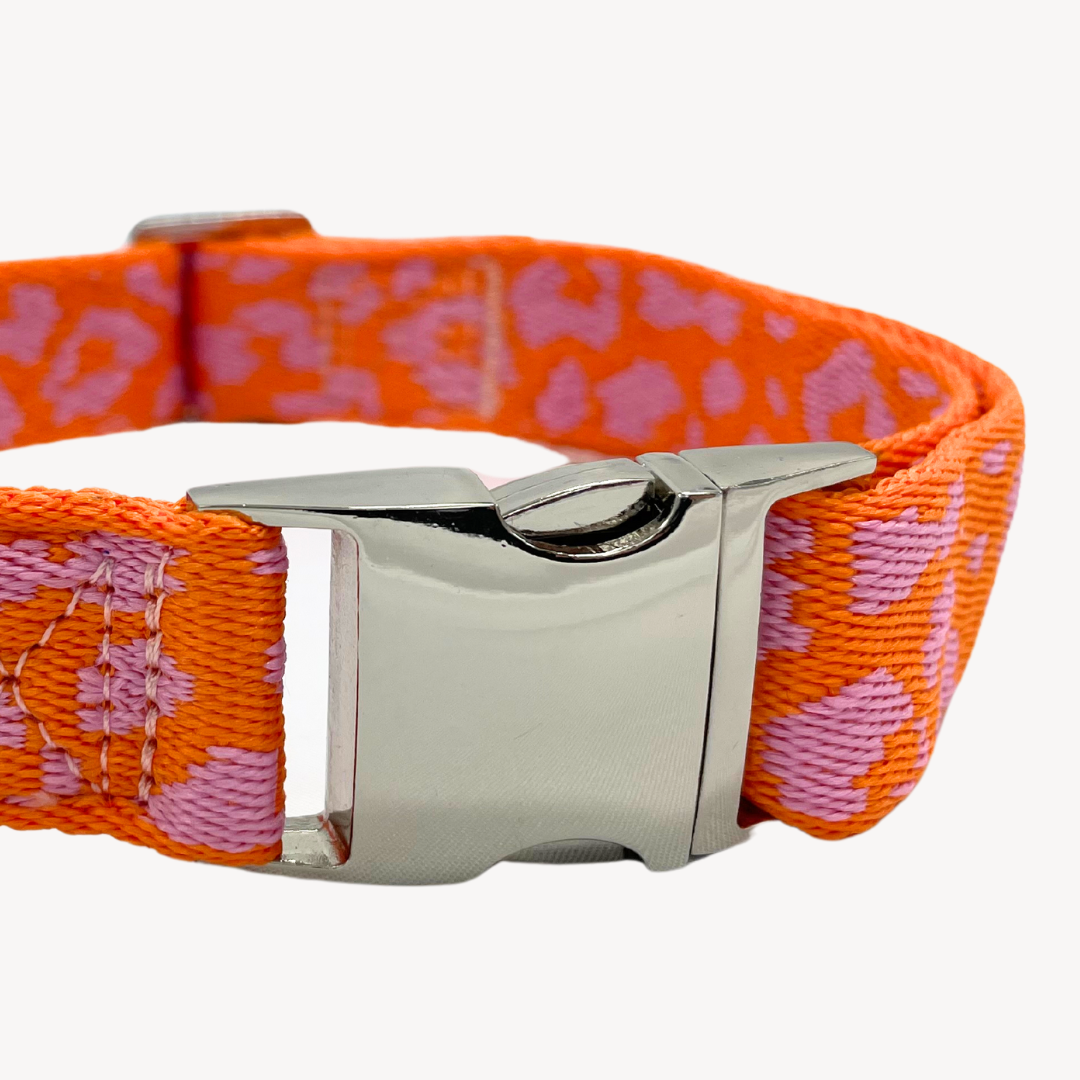 Panther - Orange/Pink - Matching Paws set