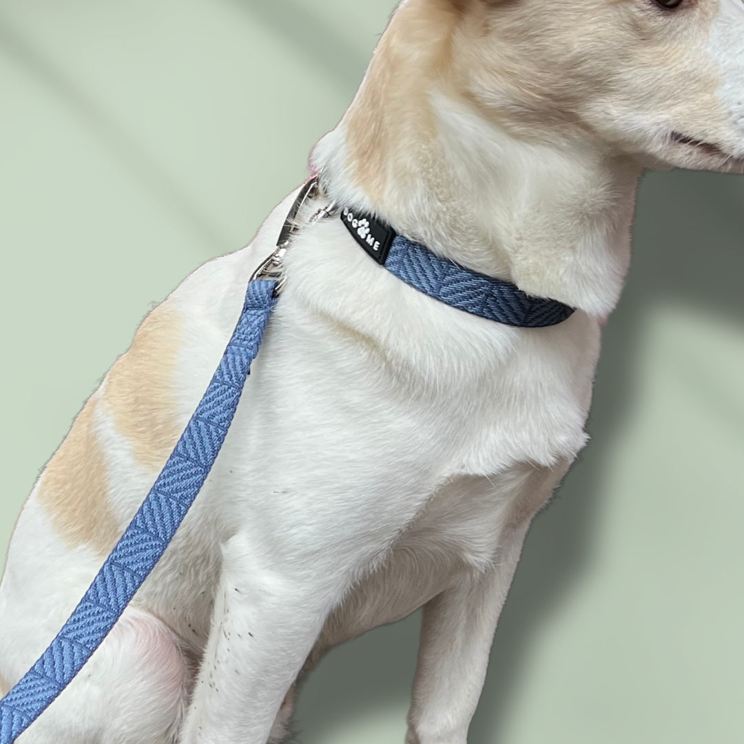 Denim - Bleu - Collier pour chien
