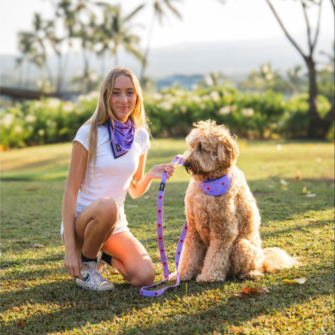 Hearts - Purple - Matching Bandanas Set