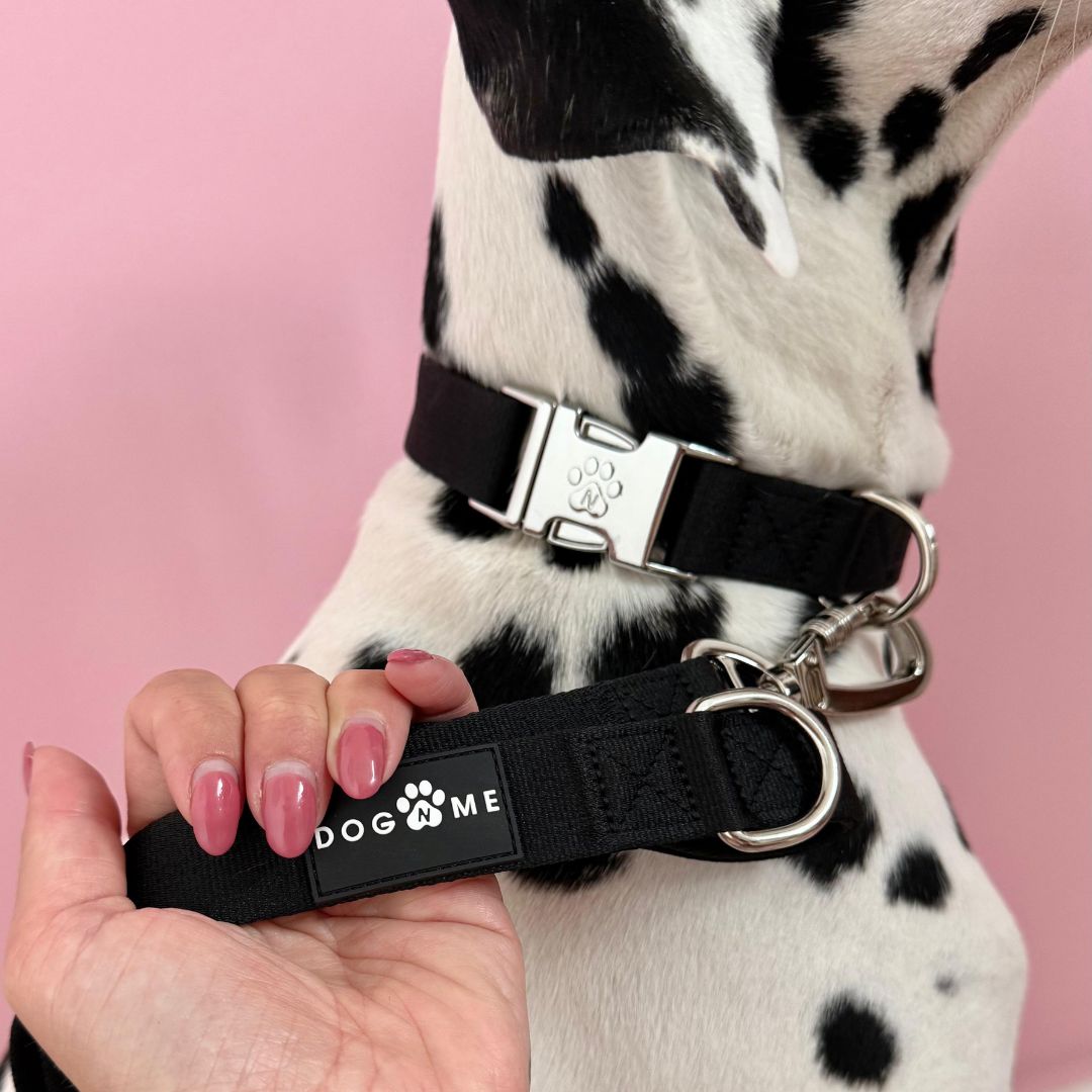 Solid - Black - Dog Collar