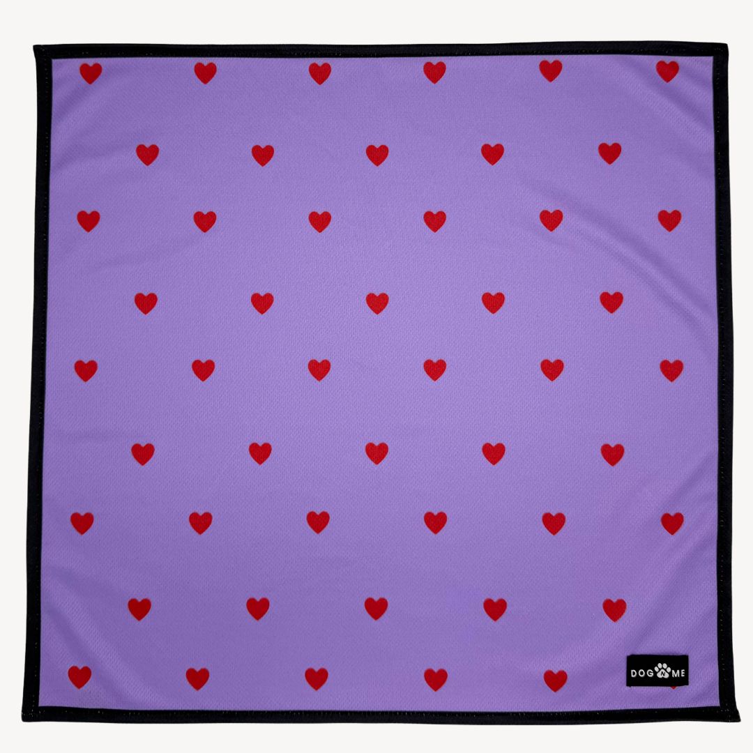 Hearts - Purple - Matching Bandanas Set