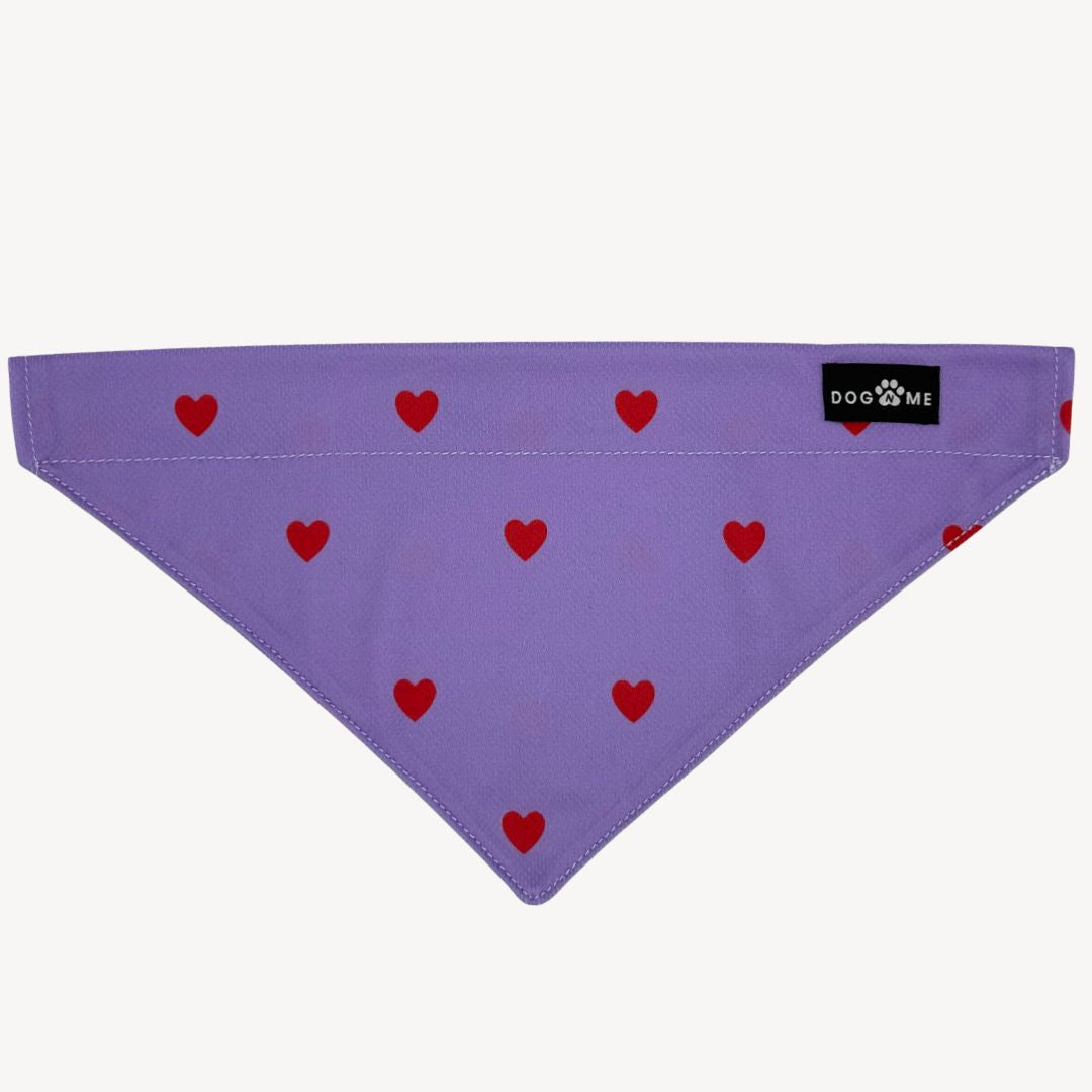 Hearts - Purple - Matching Bandanas Set