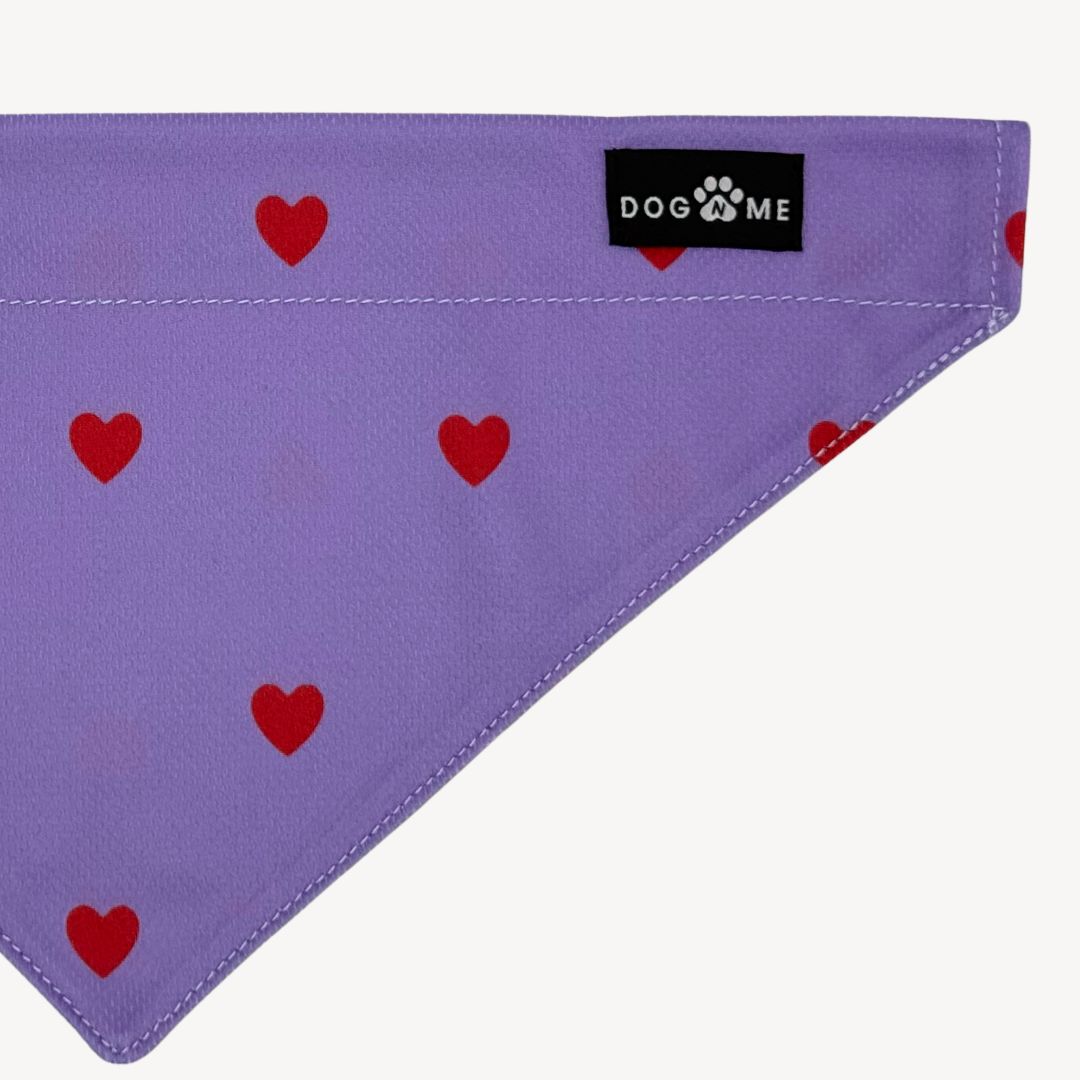 Hearts - Purple - Matching Bandanas Set
