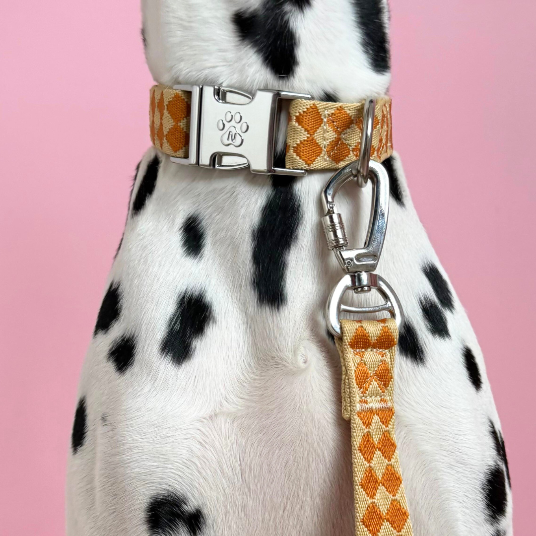 Checkers - Dog Collar