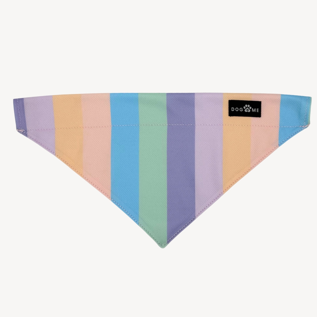 Rainbow - Matching Bandanas Set