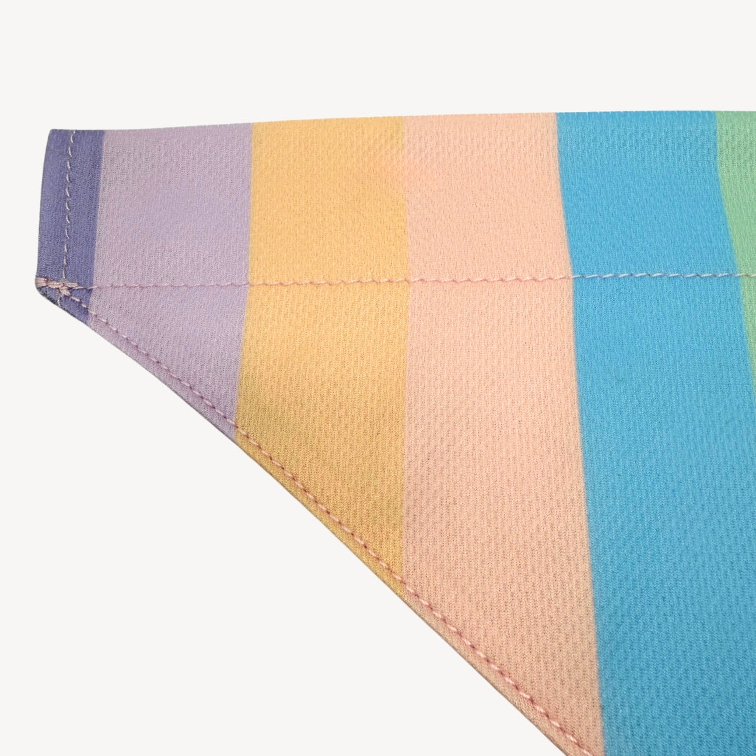 Rainbow - Matching Bandanas Set