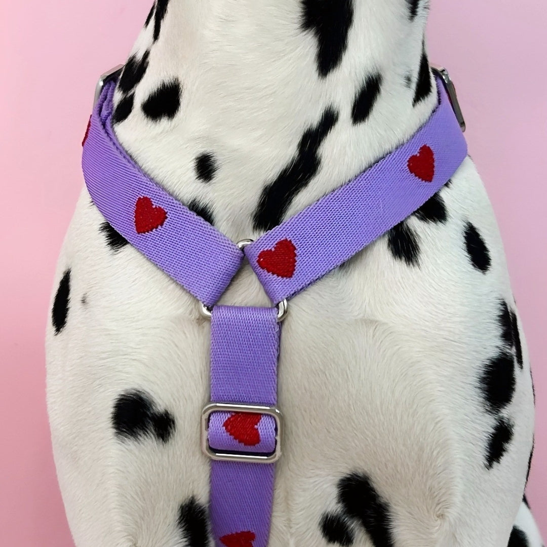 Hearts - Viola - Pettorina per Cani