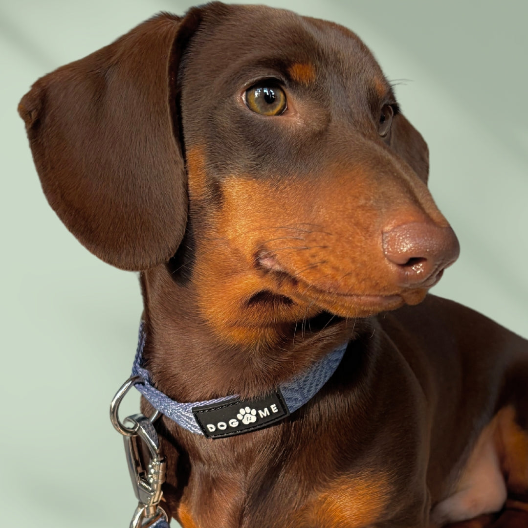 Denim - Blue - Trail Hunter Duo Set