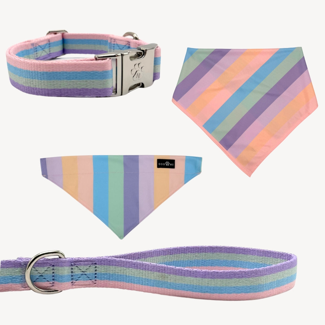 Rainbow - Trail Hunter Duo Set