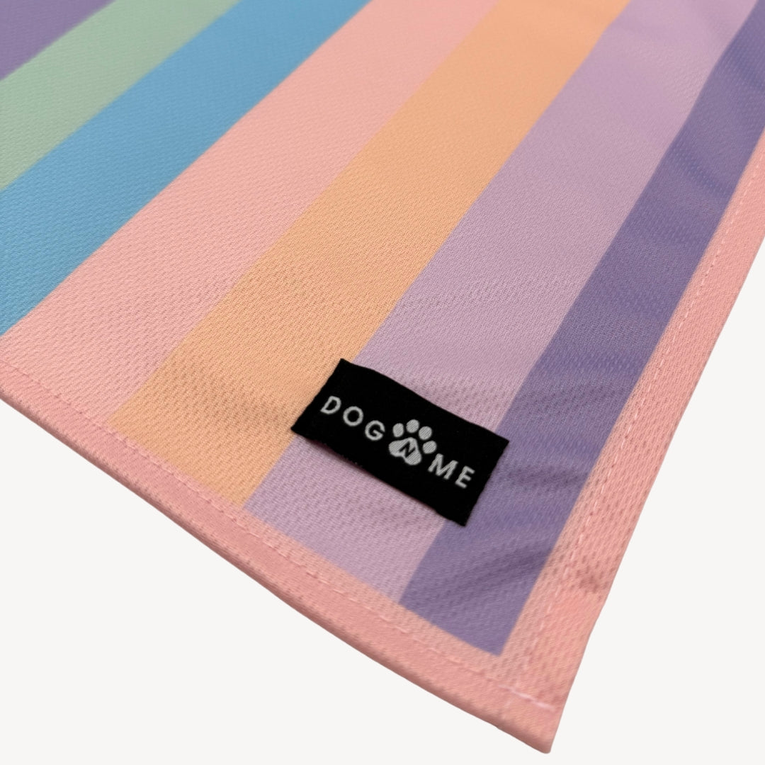Rainbow - Matching Bandanas Set