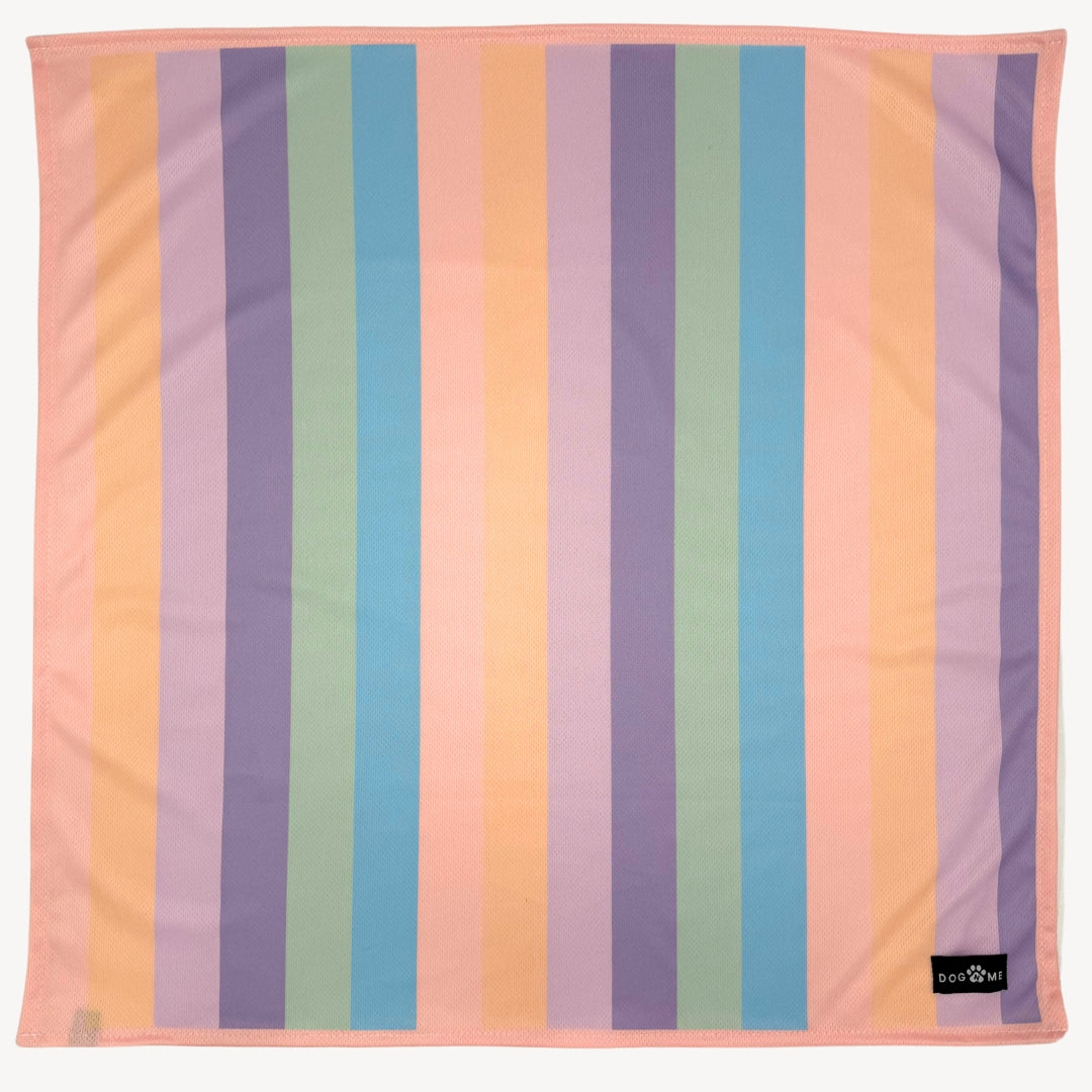 Rainbow - Matching Bandanas Set