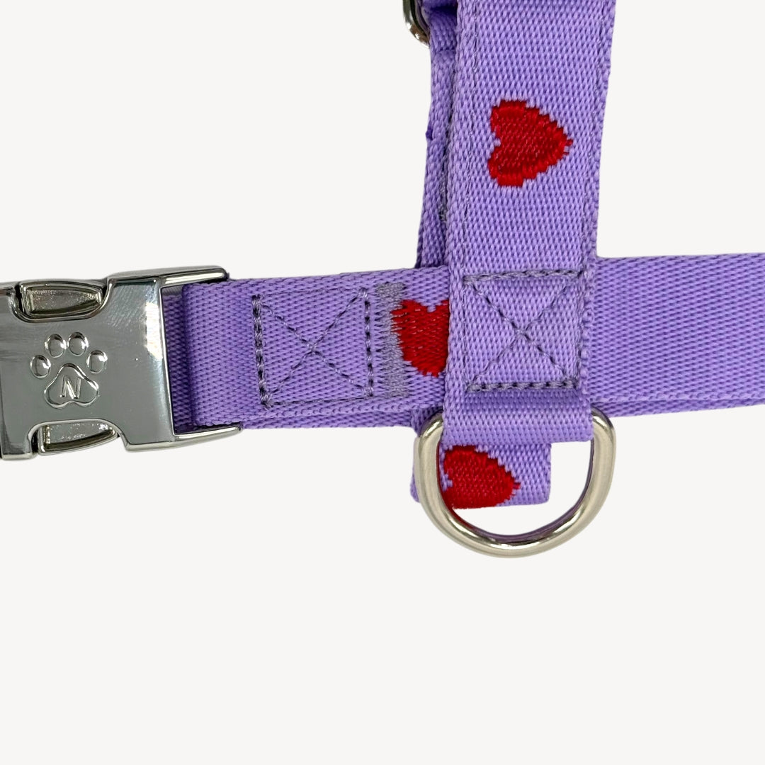 Hearts - Viola - Pettorina per Cani