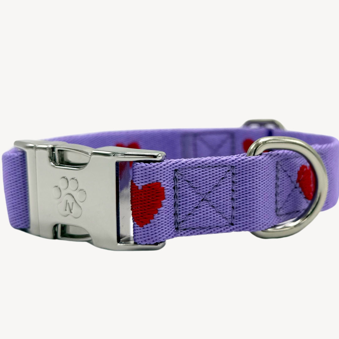 Hearts - Purple - Dog Collar