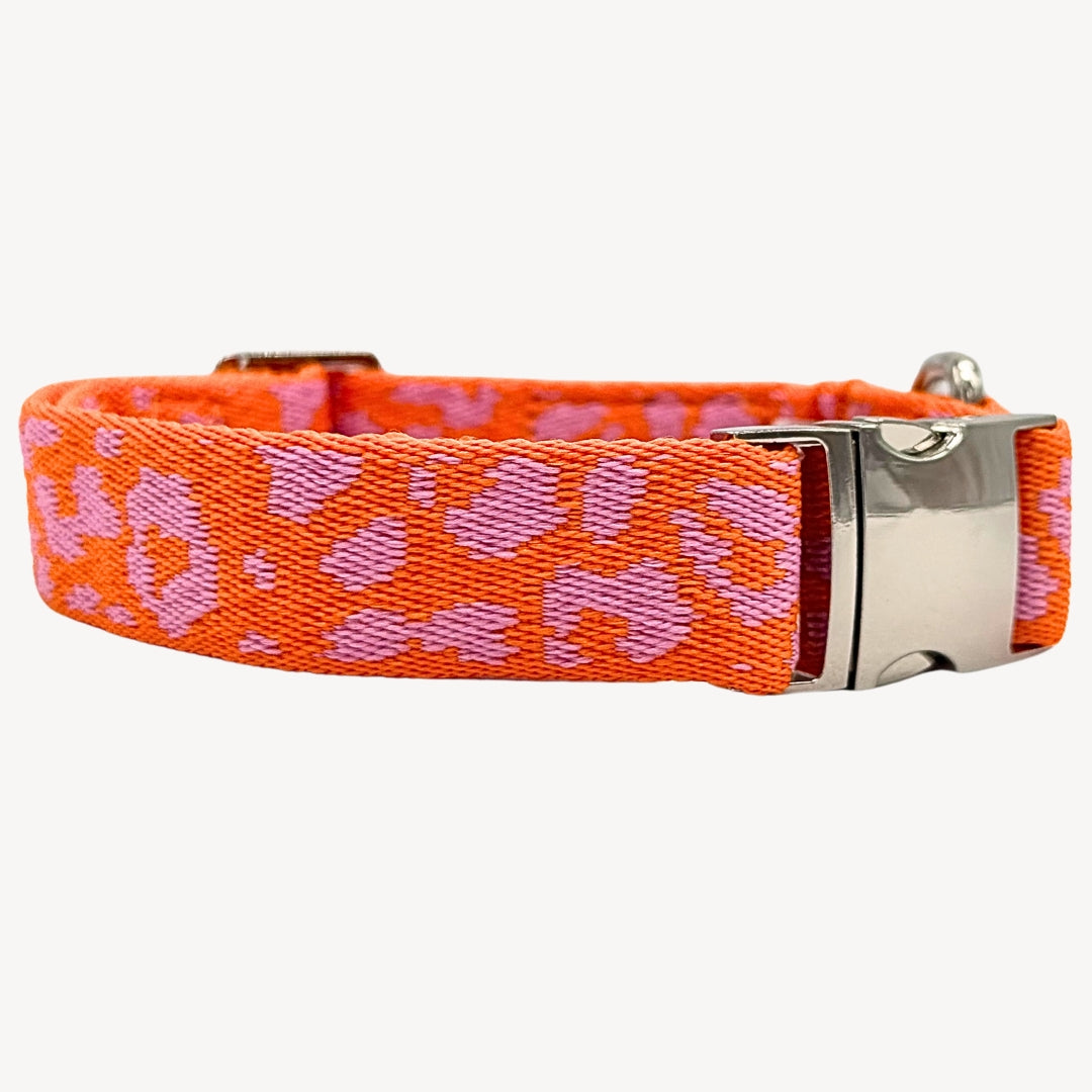 Pantera - Arancione/Rosa - Collare per Cani