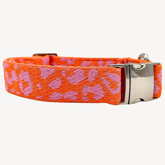 Panther - Orange/Pink - Dog Collar