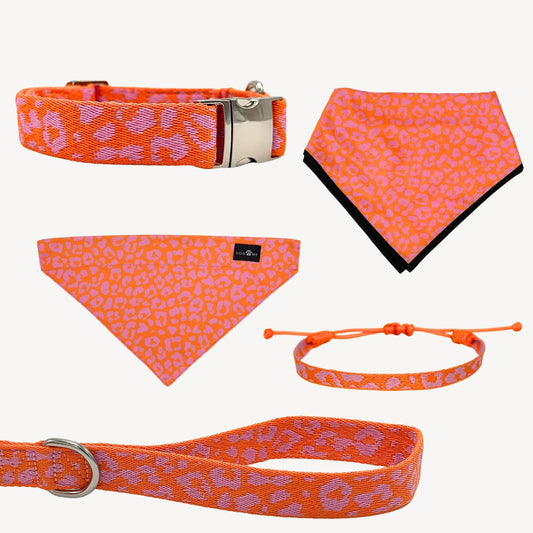 Panthère - Orange/Rose - Trail Hunter Ultra Set