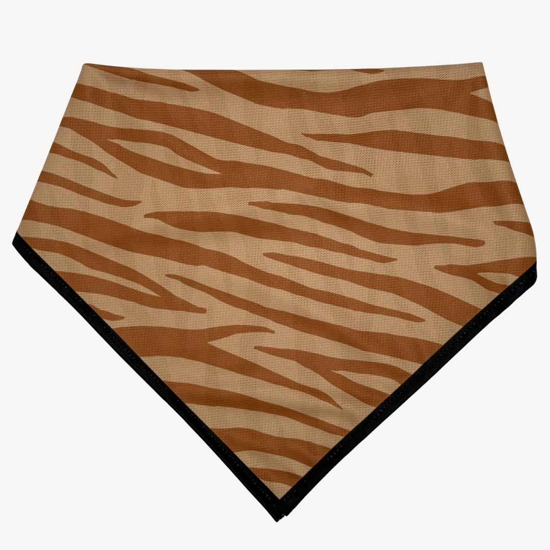 Zebra - Bandana