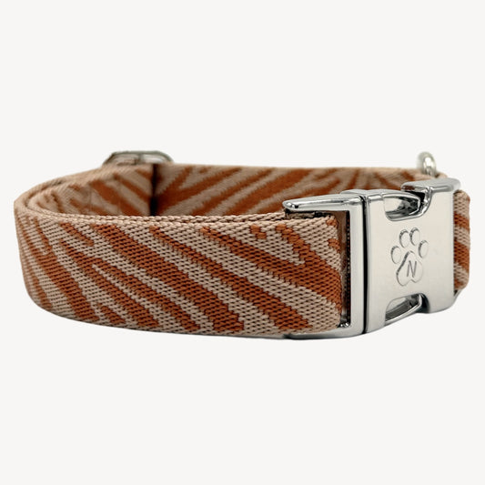 Zebra - Dog Collar