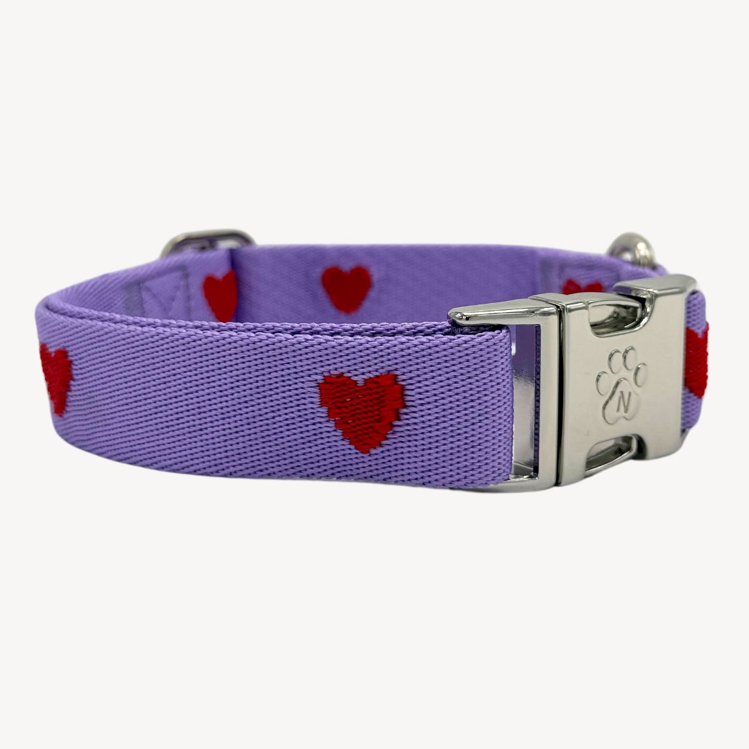 Hearts - Viola - Collare per Cani