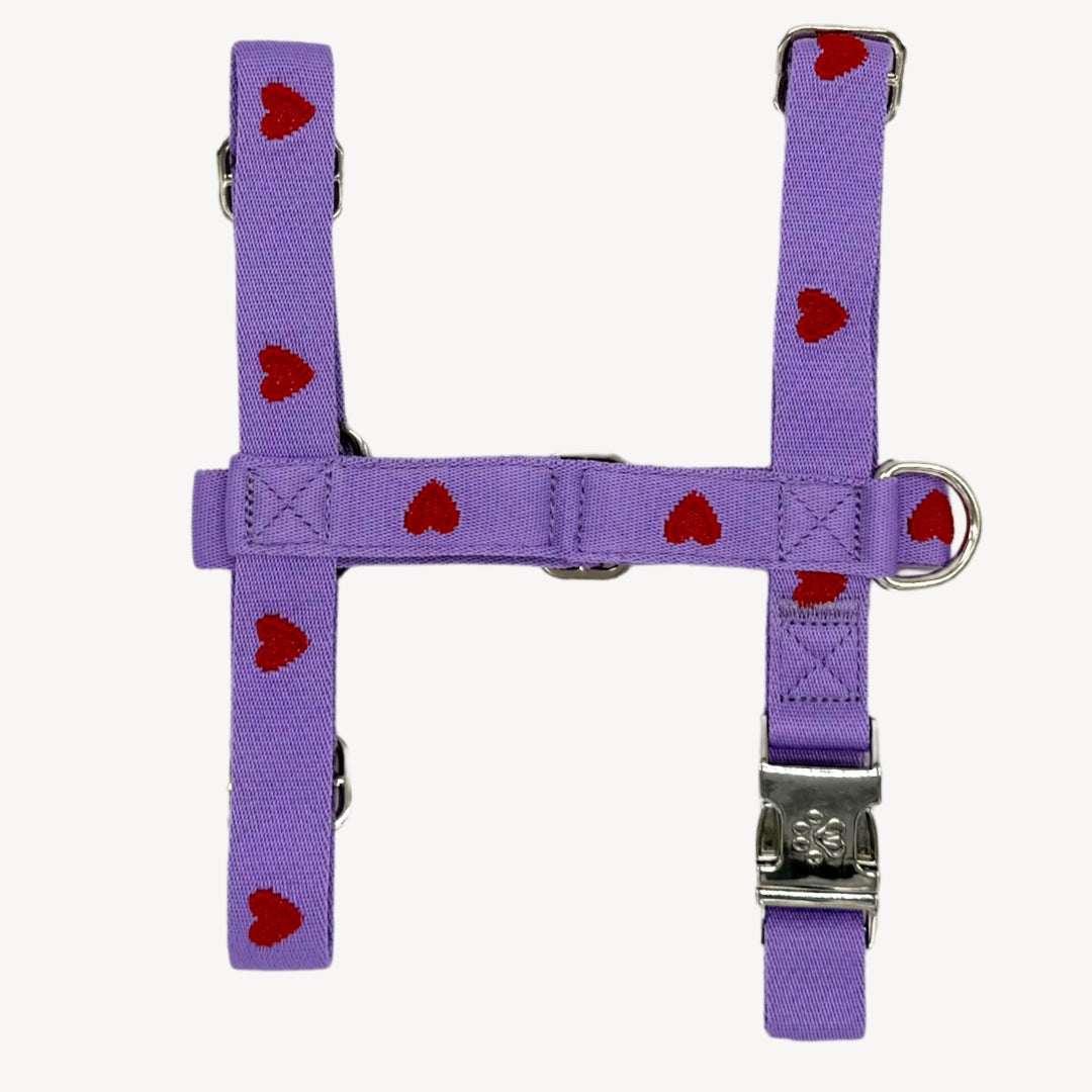 Hearts - Viola - Pettorina per Cani
